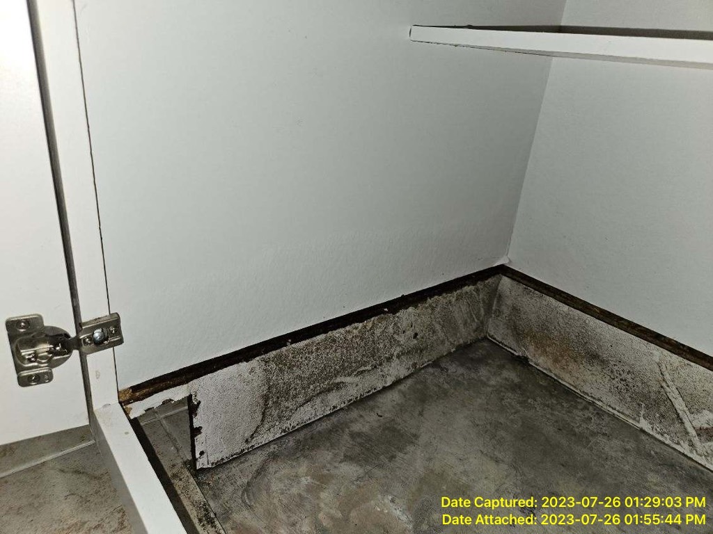 Mold Removal in Myrtle Beach SC 29588 home