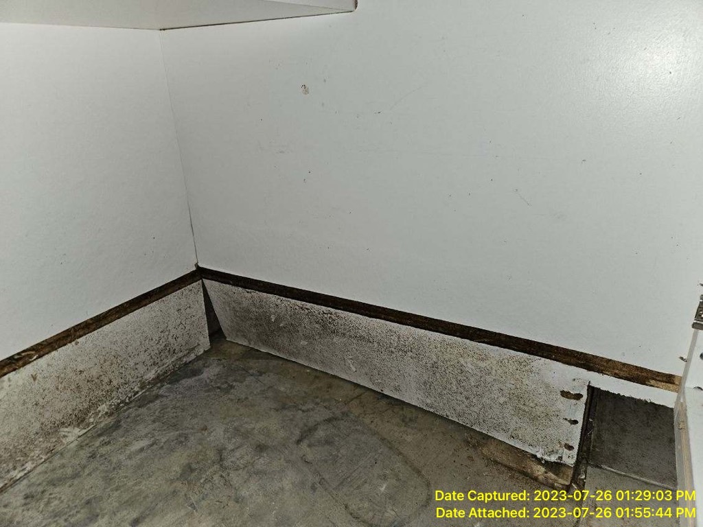 Mold growth in cabinet of Myrtle Beach SC 29588 home