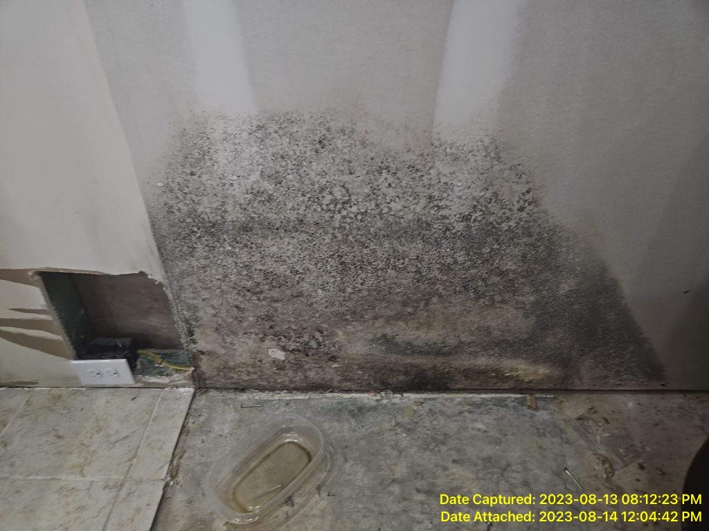 Mold Remediation in Myrtle Beach SC 29588 home